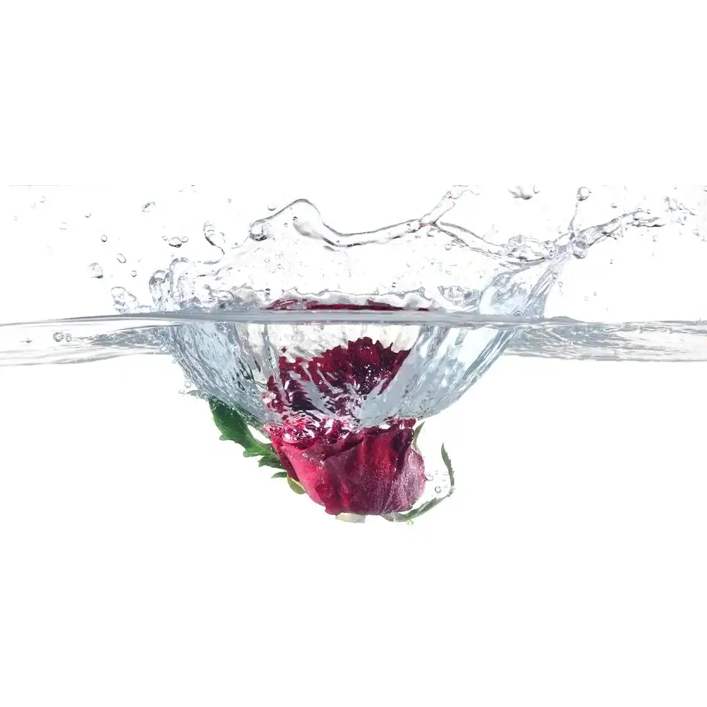 Rosenwasser für die Haarpflege – feuchtigkeitsspendend und beruhigend für Haar und Kopfhaut