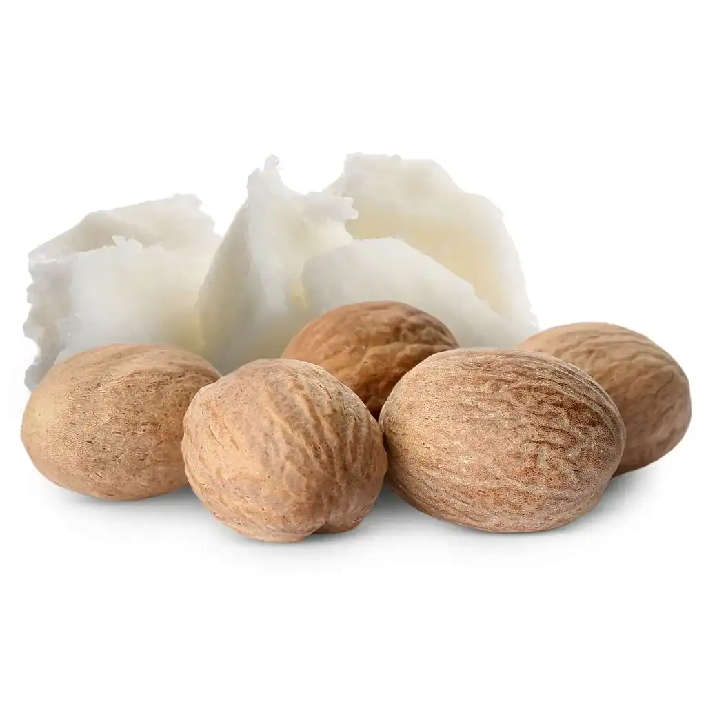 Sheabutter für Haare – intensive Pflege für trockenes und strapaziertes Haar 